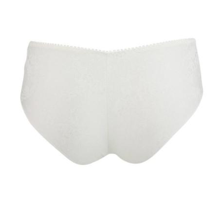 Shorty un amour d Antigel