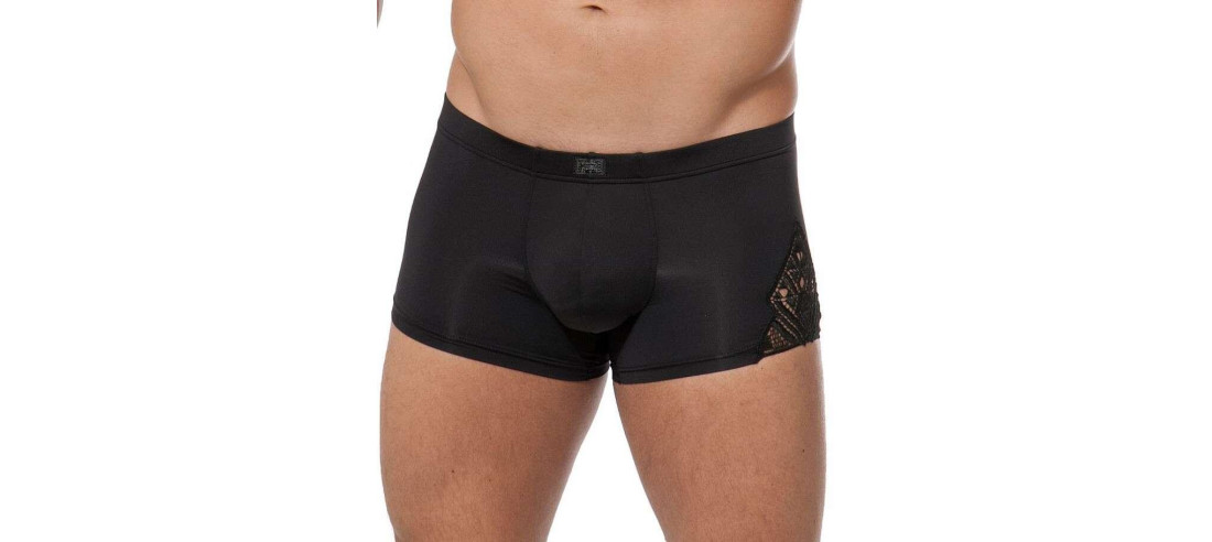 Boxer Hom temptation shah