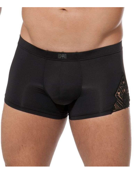 Boxer Hom temptation shah