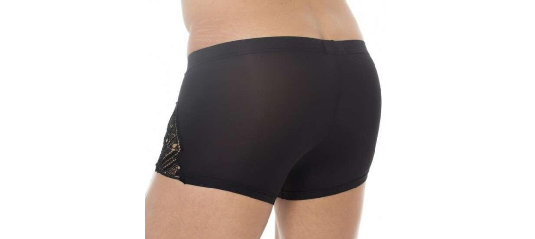 Boxer Hom temptation shah