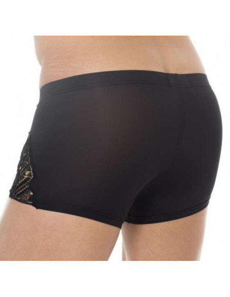 Boxer Hom temptation shah