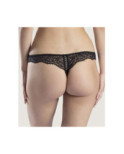 String Aubade Courbe Divine