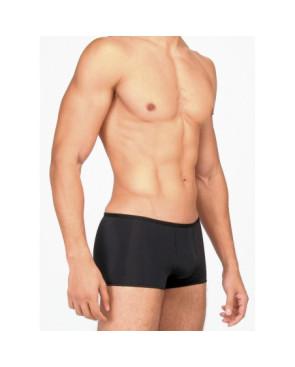 Shorty Hom Plume Temptation