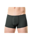 Shorty Hom Plume Temptation
