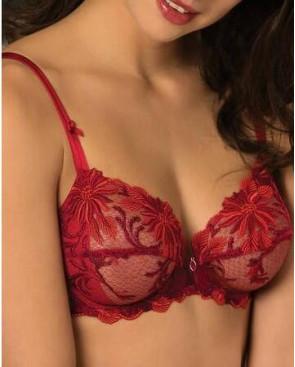 Soutien gorge Lise Charmel Rouge dentelle aphrodite