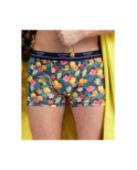 Boxer Dagobert à L'envers coton bio Ananas Fleuri