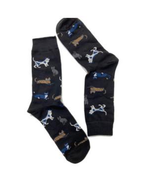  chaussettes Ludiques fan de chats