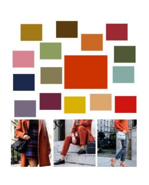  Quel-couleur-a-porter-avec-du-orange-brique