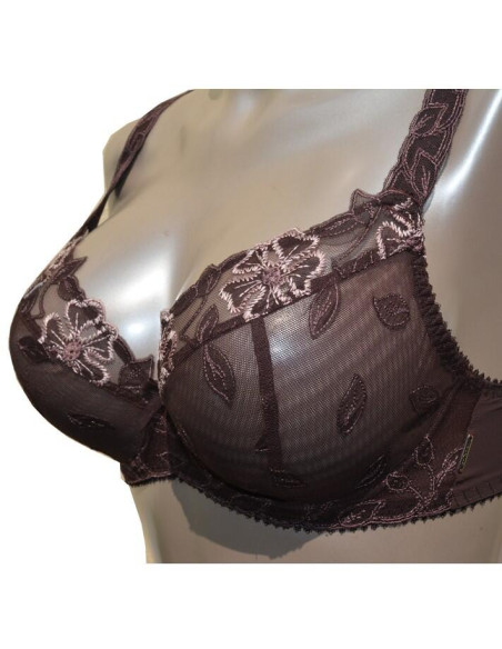 Slip Elixir Cassiopé Friandise