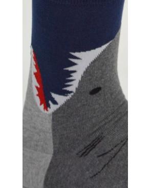 Chaussettes Le Megalodon