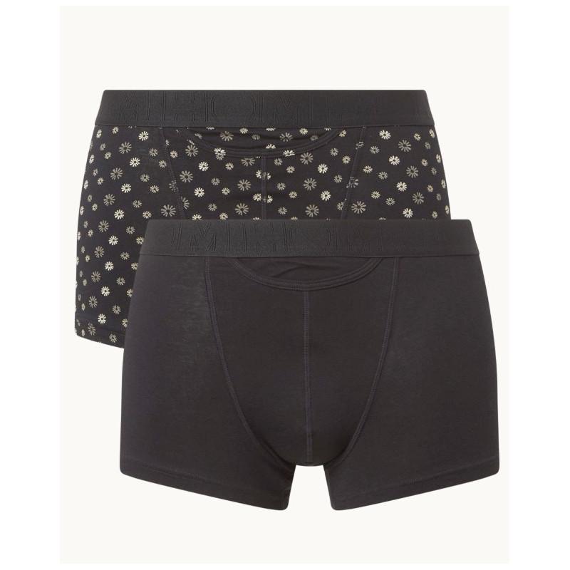 Duo de Boxer Hom Ho1 Joan