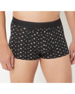Duo de Boxer Hom Ho1 Joan