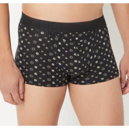 Duo de Boxer Hom Ho1 Joan