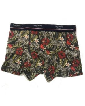 Coffret Boxer et Chaussettes Dagobert Zebre Coton Bio