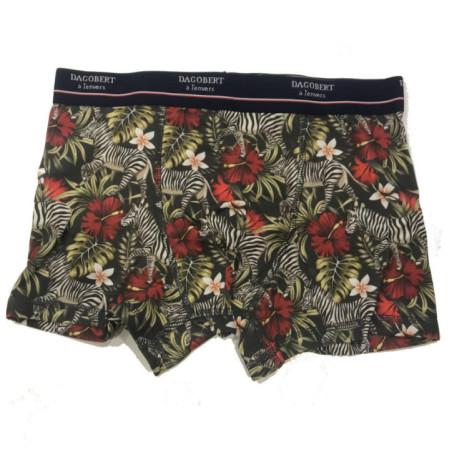 Coffret Boxer et Chaussettes Dagobert Zebre Coton Bio