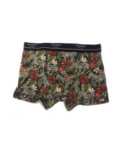 Coffret Boxer et Chaussettes Dagobert Zebre Coton Bio