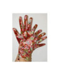 Gants Velours Imprimé Marilda Caprices