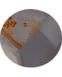 culotte Empreinte Rafaela