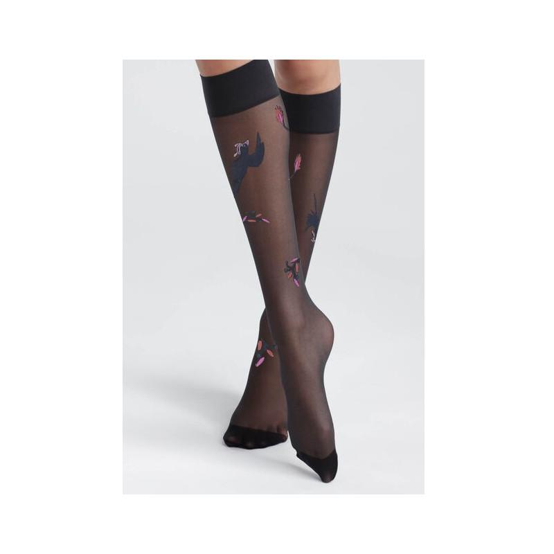 Mi Bas Noir fin Berthe aux grands Pieds Oiseau lyre marine