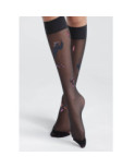 Mi Bas Noir fin Berthe aux grands Pieds Oiseau lyre marine