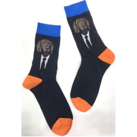 chaussettes-LPC-chien-Coonhound-tan-and-black