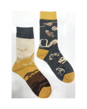 chaussettes-LPC-Dinosaure-préhistoire-fossile-asymétrique
