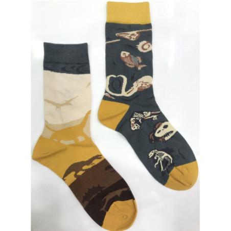 chaussettes-LPC-Dinosaure-préhistoire-fossile-asymétrique