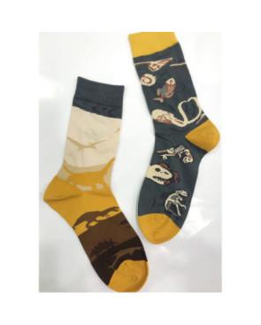 Chaussettes Dinosaures Les Petits Caprices