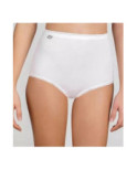 Pack de 3 culottes Maxi Coton Playtex