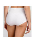 Pack de 3 culottes Maxi Coton Playtex