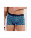 Boxer Hom HO1 Ralphy