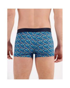 Boxer Hom HO1 Ralphy