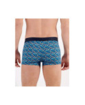 Boxer Hom HO1 Ralphy
