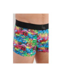 Boxer Hom Graffitis Wall