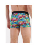 Boxer Hom Graffitis Wall