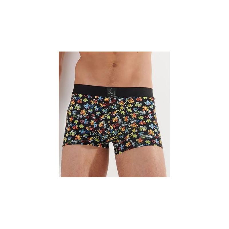Boxer Hom HO1  Puzzled