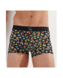 Boxer Hom HO1  Puzzled