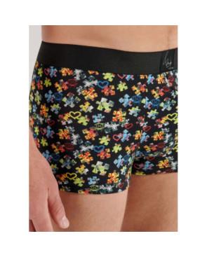 Boxer Hom HO1  Puzzled