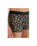 Boxer Hom HO1  Puzzled