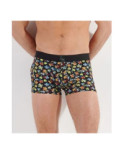 Boxer Hom HO1  Puzzled