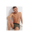 Boxer Hom HO1  Puzzled