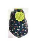 Chausson de voyage Gibouly Vert Ixli