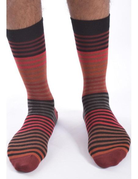 Chaussettes Cronert Homme rayures