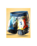 Boxer Long Loic Henry Microfibre Imprimé Roma