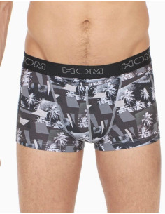 Boxer Hom Ho1Duo Posters