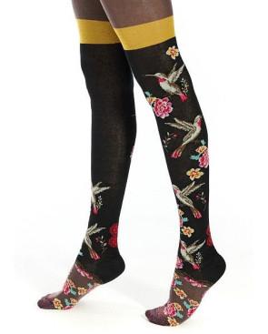 Collant Hiver Dub et Drino Nectar colibri