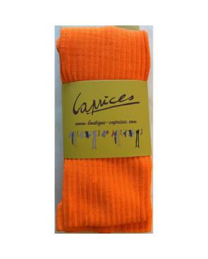 collant coton fines cotes chics couleurs tendance