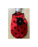 Chaussons de voyage Dots rouge