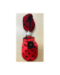 Chaussons de voyage Dots rouge
