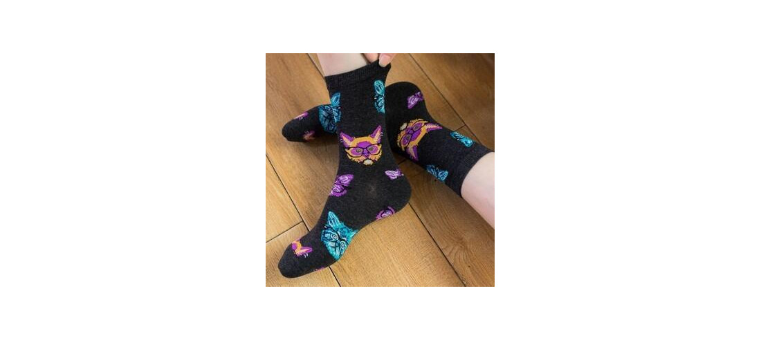 Chaussettes chats délire binocles